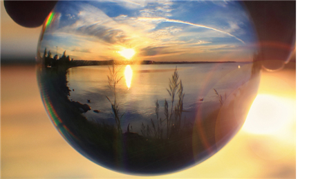Banner Picture